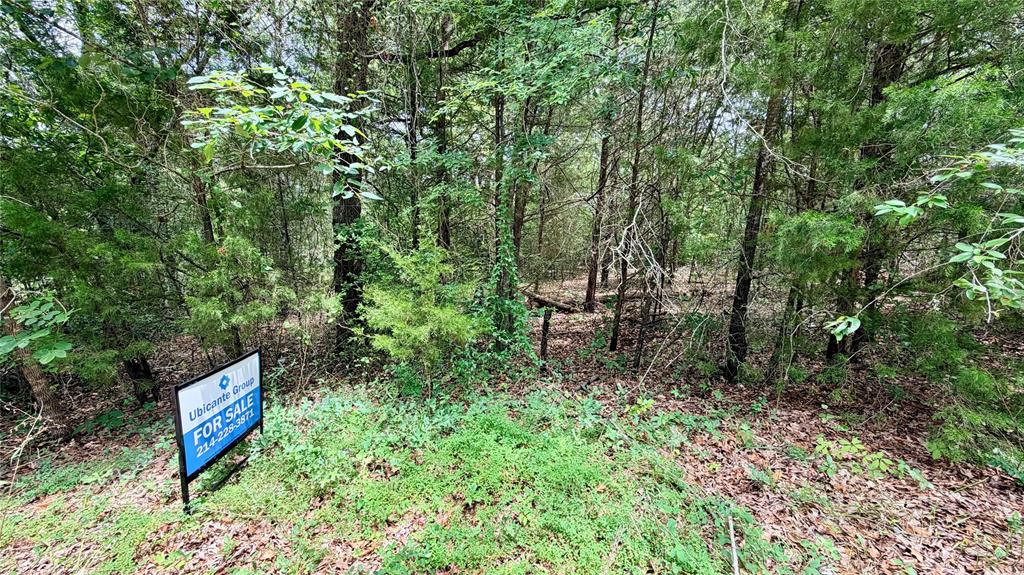 180 Vista Drive Property Photo 10