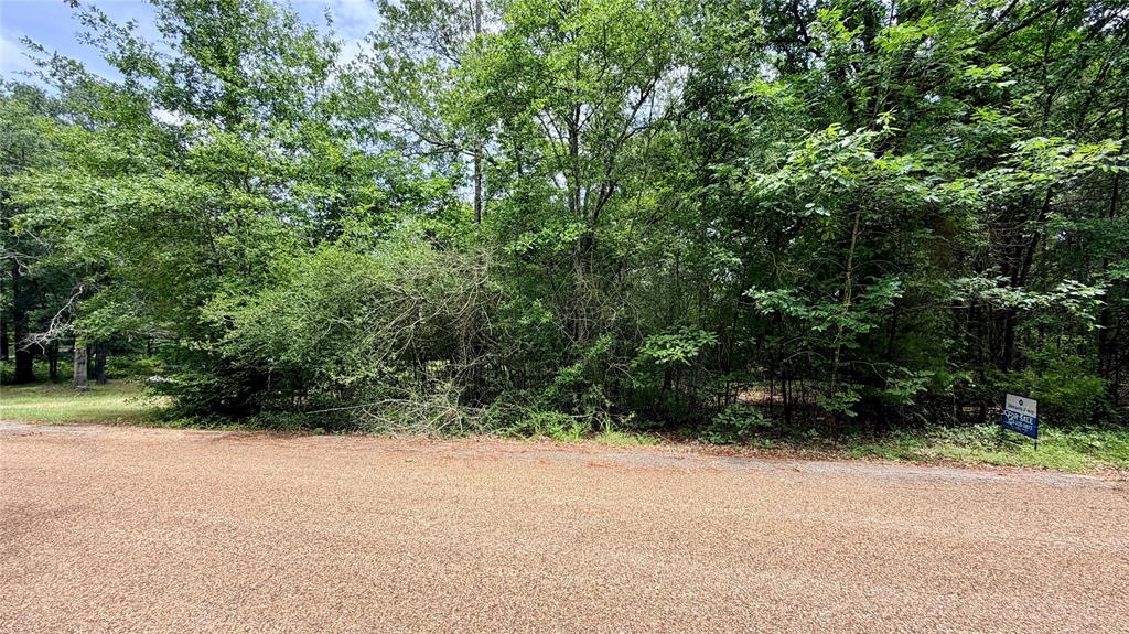 180 Vista Drive Property Photo 11