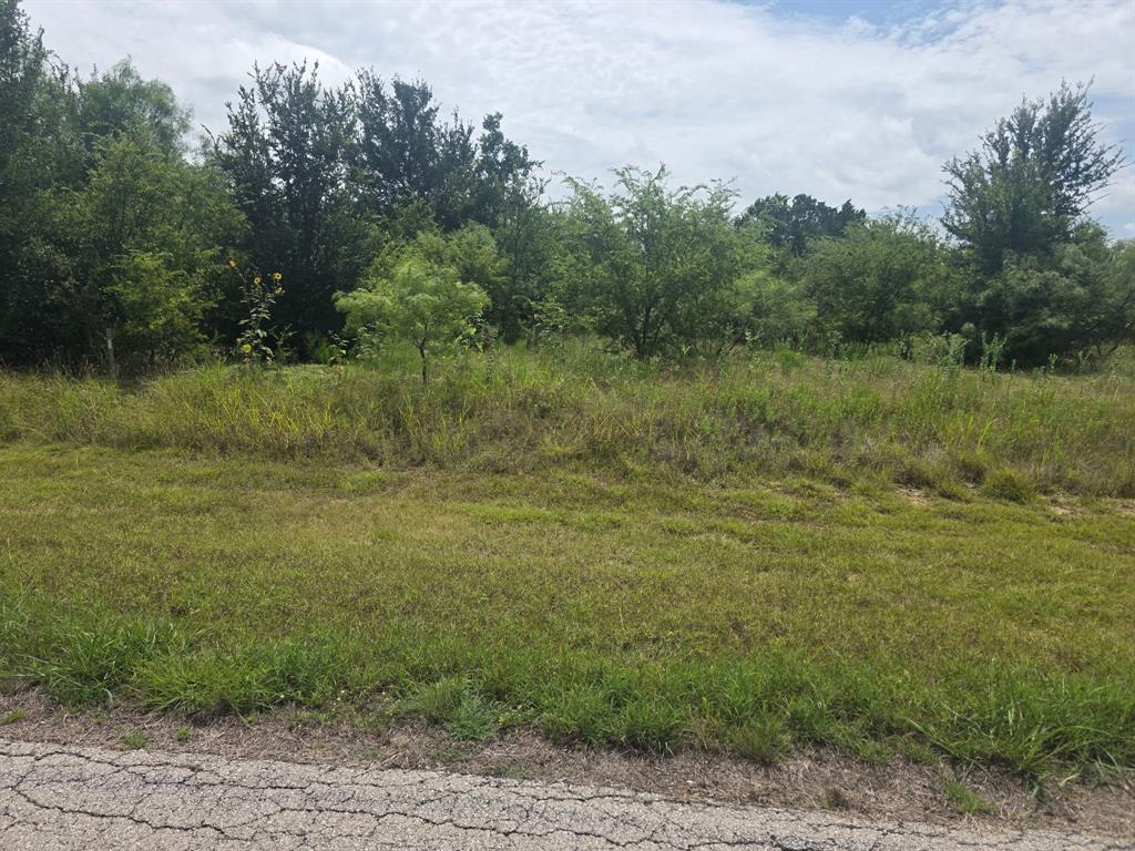 100 Turtle Dove Lane Property Photo 13