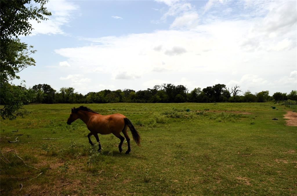 34302 Fm 47 Property Photo 17