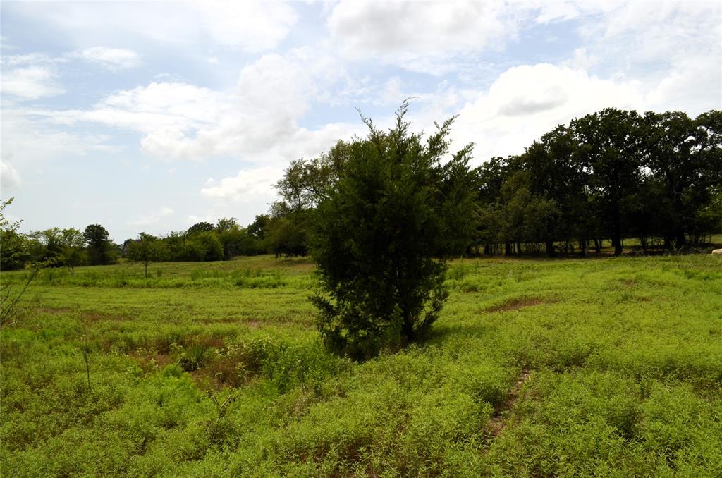 34302 Fm 47 Property Photo 19