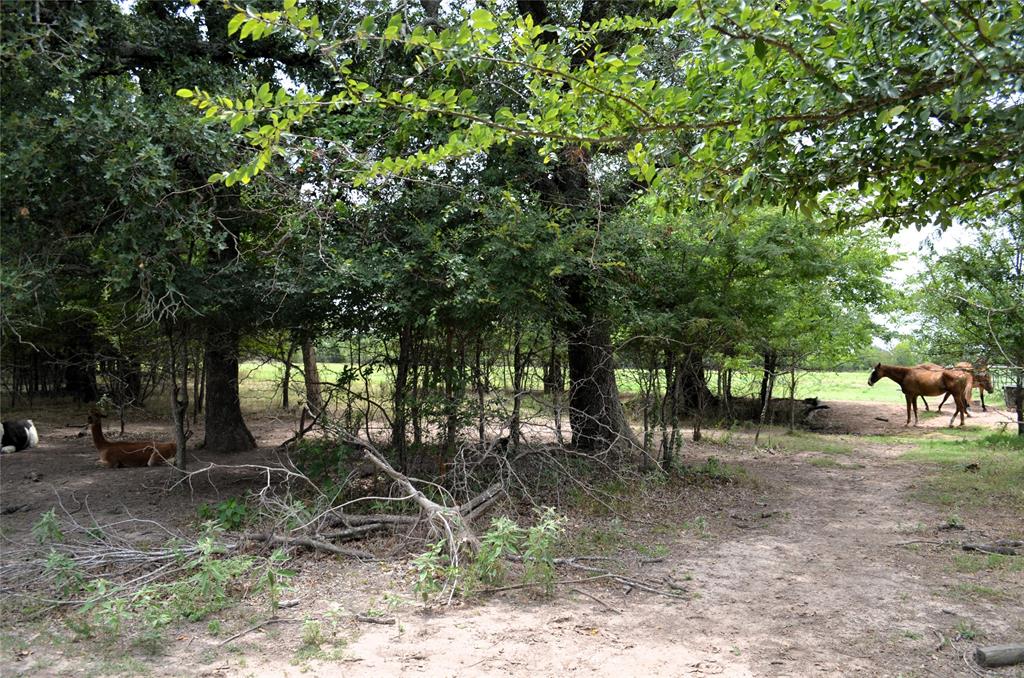 34302 Fm 47 Property Photo 30