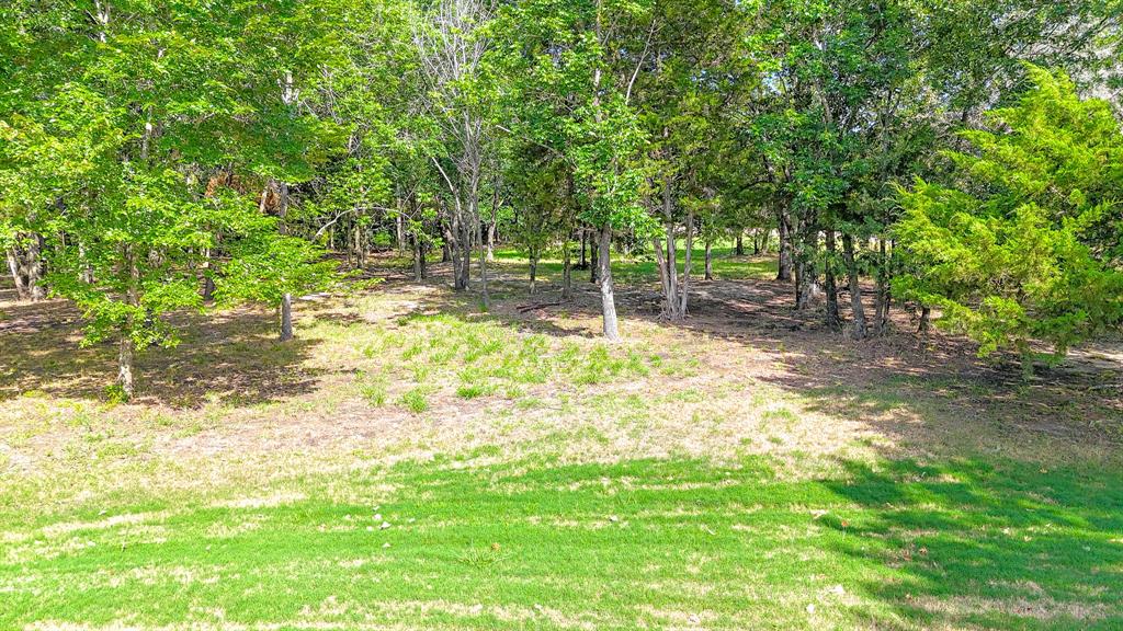Tbd Lot 618 Spur 294 Property Photo 4