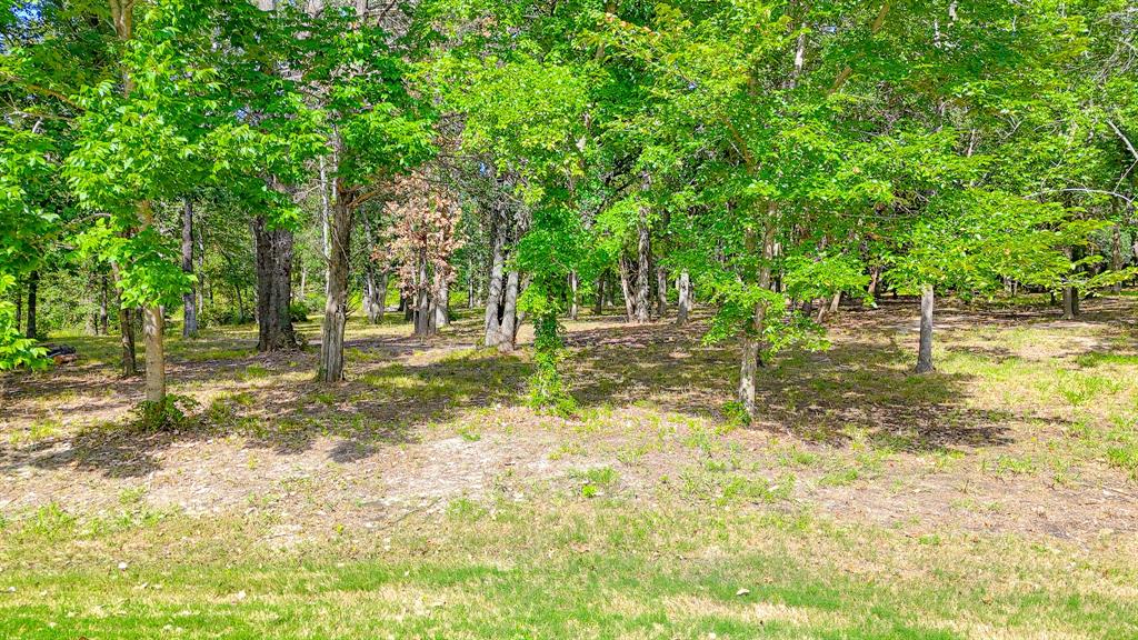 Tbd Lot 618 Spur 294 Property Photo 5