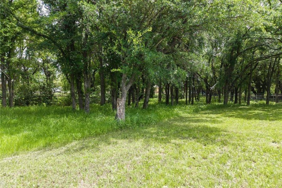 104 Turtle Creek Drive Property Photo 6