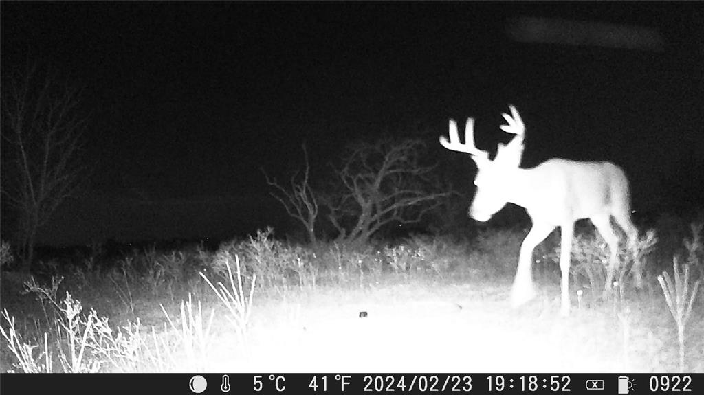 Tbd Comanche Hills Dr Property Photo 4