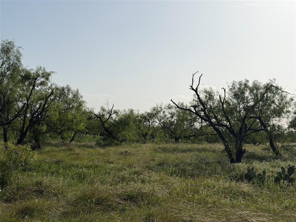 Tbd Comanche Hills Dr Property Photo 10