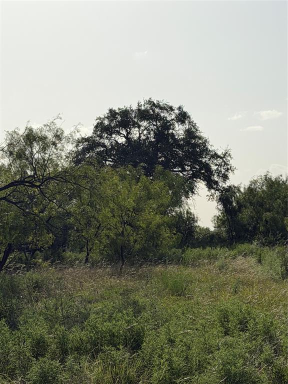 Tbd Comanche Hills Dr Property Photo 11