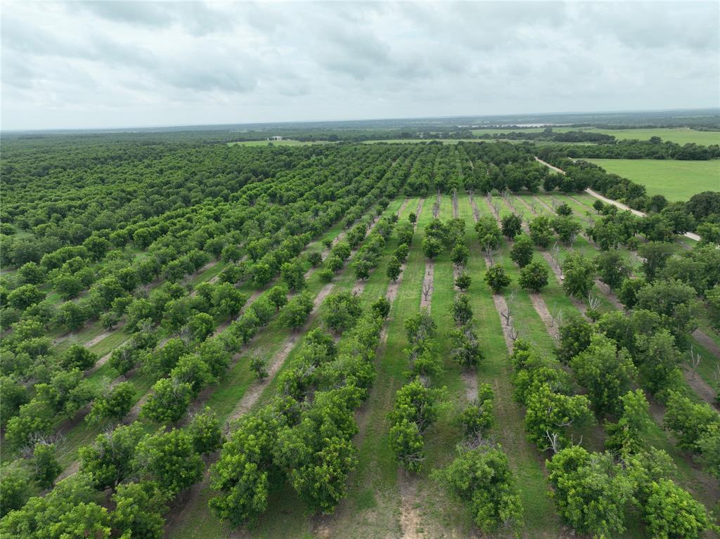 Tbd Cr 424 Property Photo 2