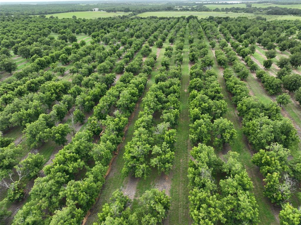 Tbd Cr 424 Property Photo 3
