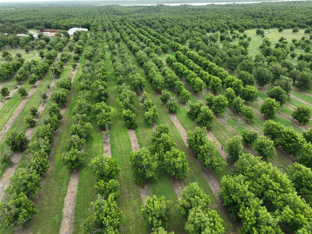 Tbd Cr 424 Property Photo 5