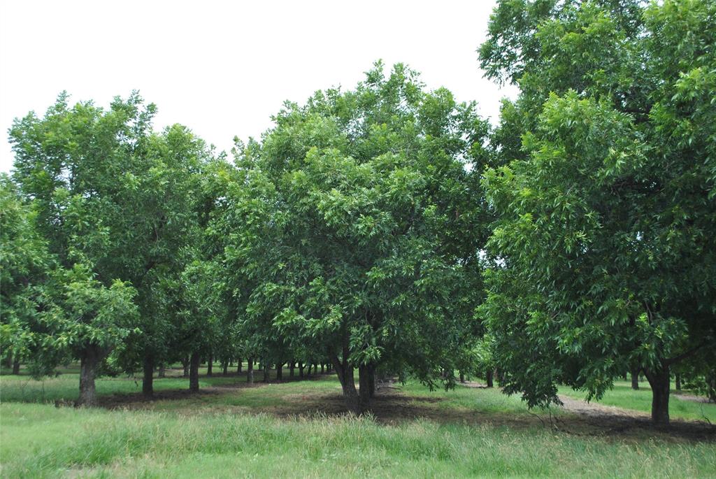 Tbd Cr 424 Property Photo 7