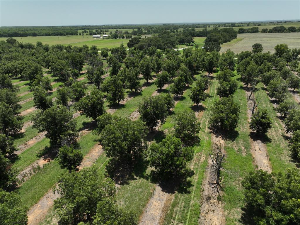 TBD CR 426 Property Photo 1