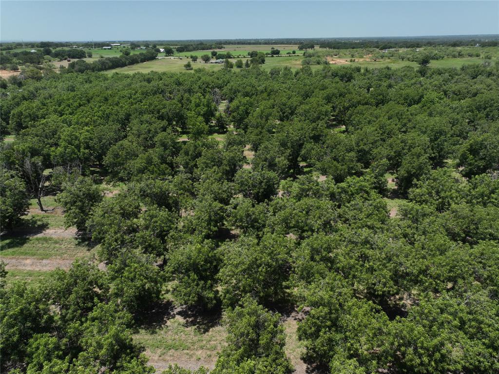 Tbd Cr 426 Property Photo 2