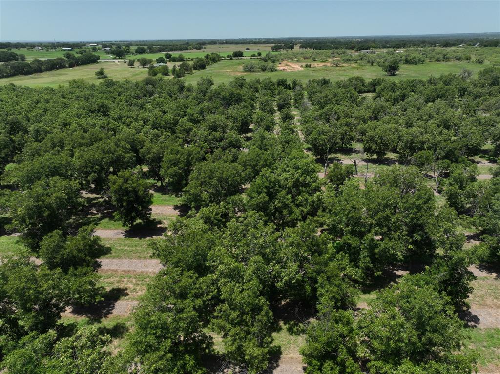 Tbd Cr 426 Property Photo 3