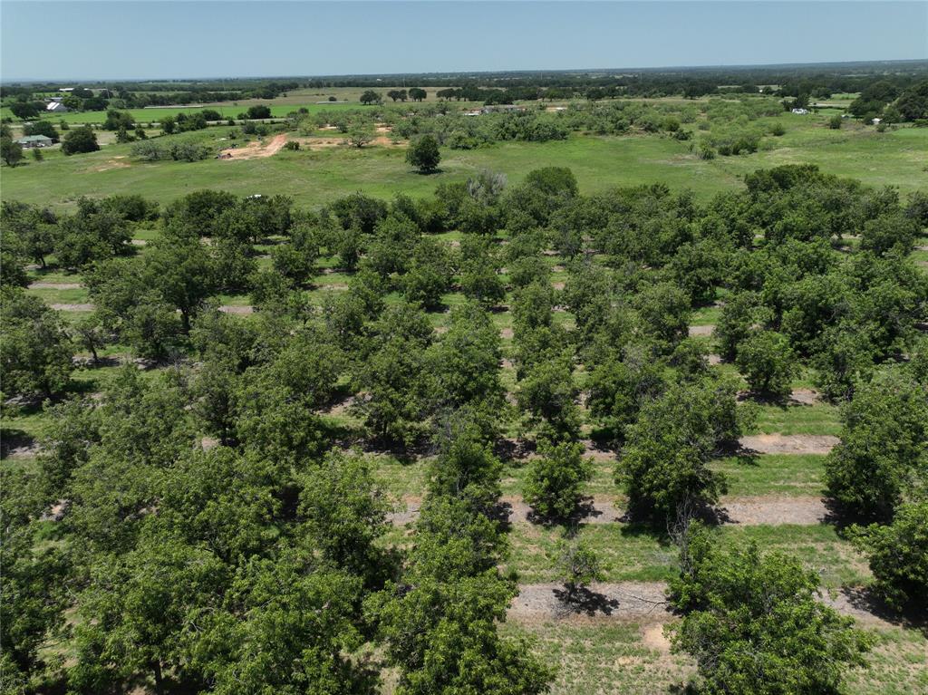 Tbd Cr 426 Property Photo 4
