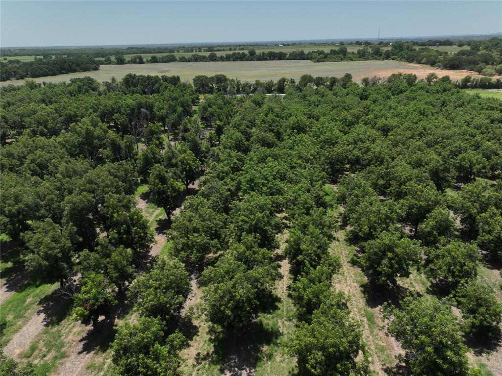 Tbd Cr 426 Property Photo 5
