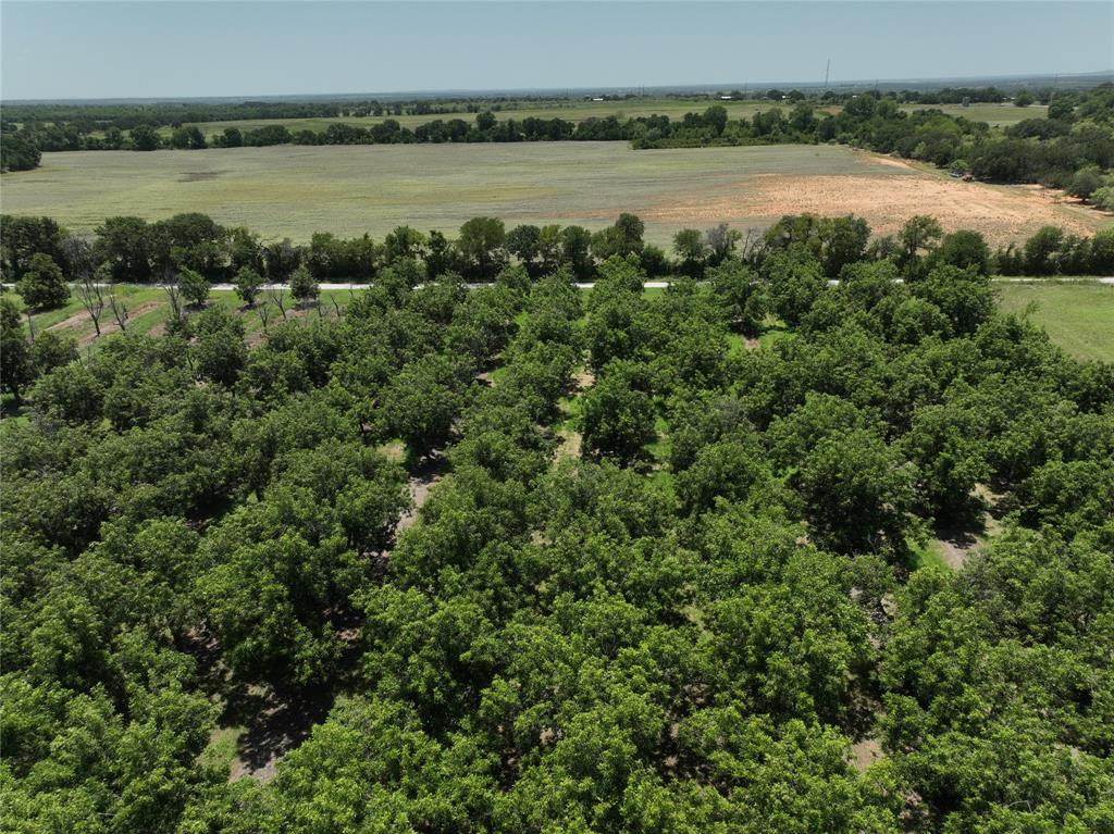Tbd Cr 426 Property Photo 6