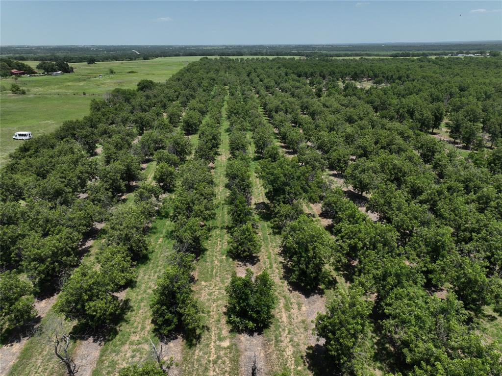 Tbd Cr 426 Property Photo 7