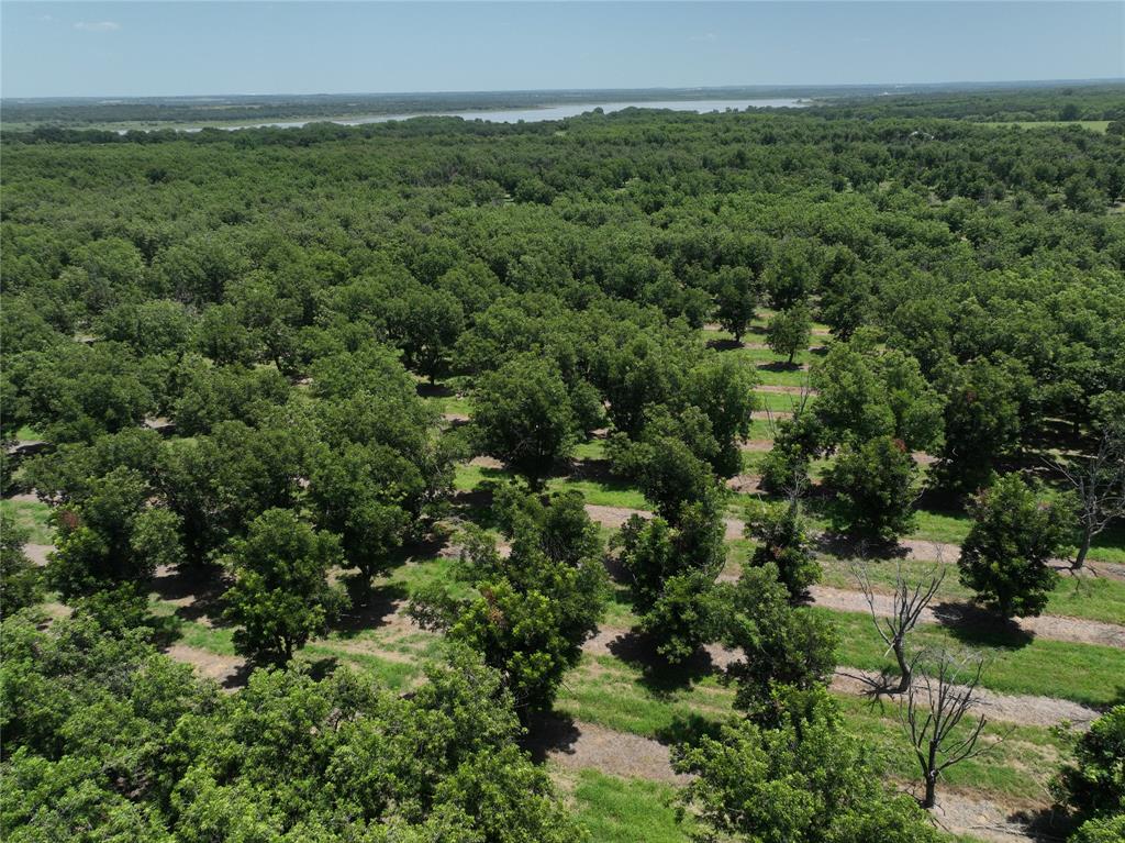 Tbd Cr 426 Property Photo 8