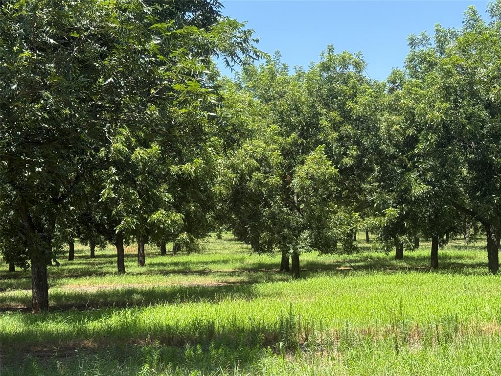 Tbd Cr 426 Property Photo 10