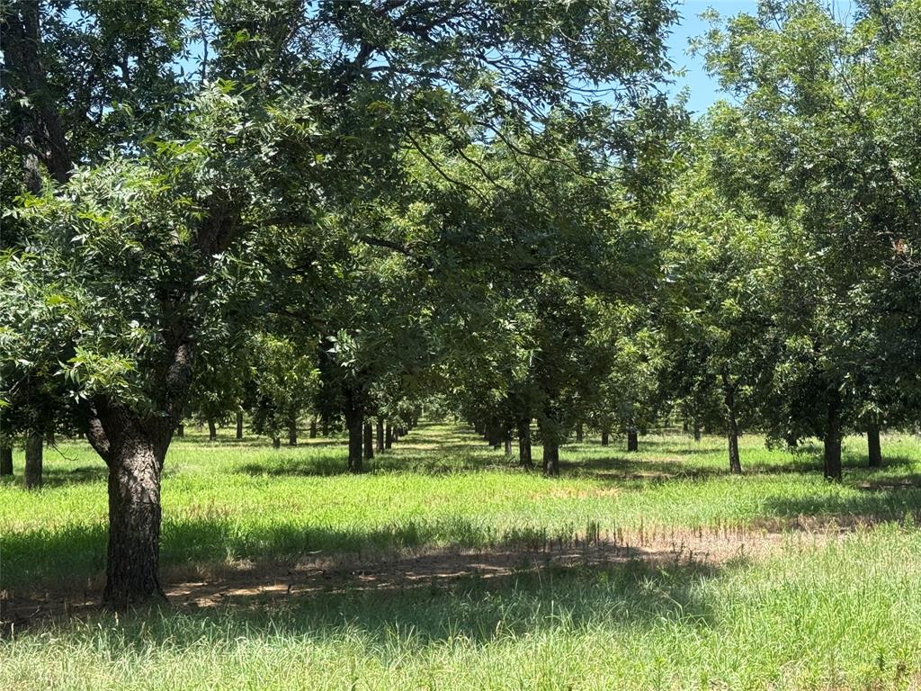 Tbd Cr 426 Property Photo 11