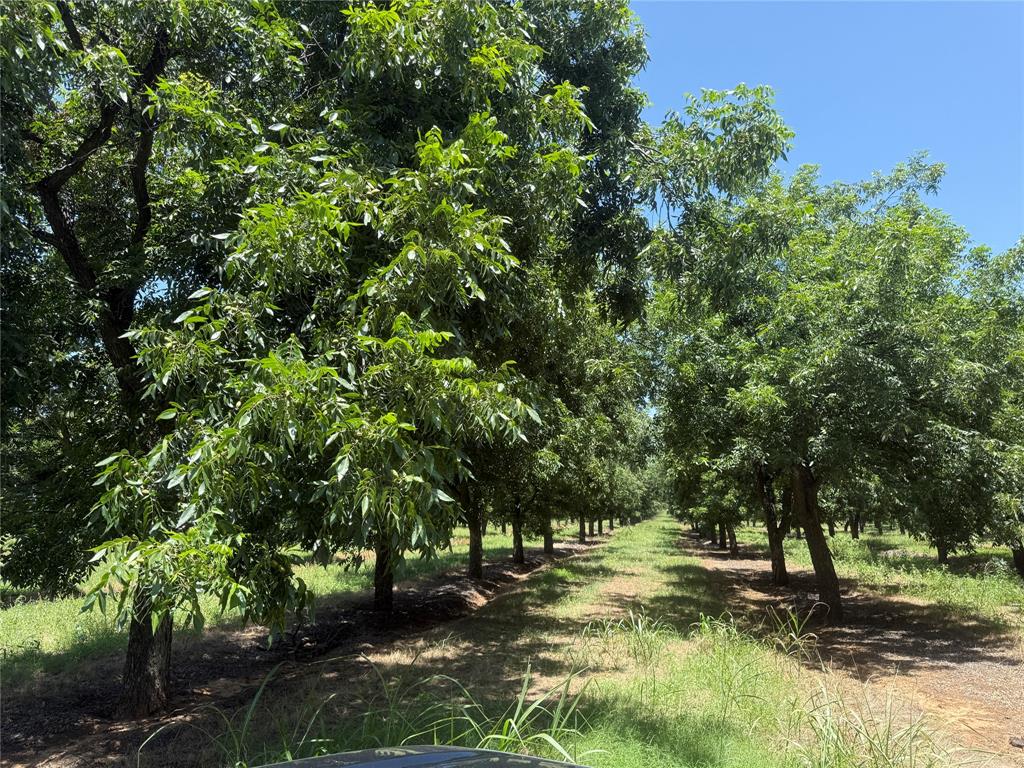 Tbd Cr 426 Property Photo 12