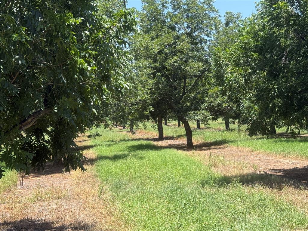 Tbd Cr 426 Property Photo 13
