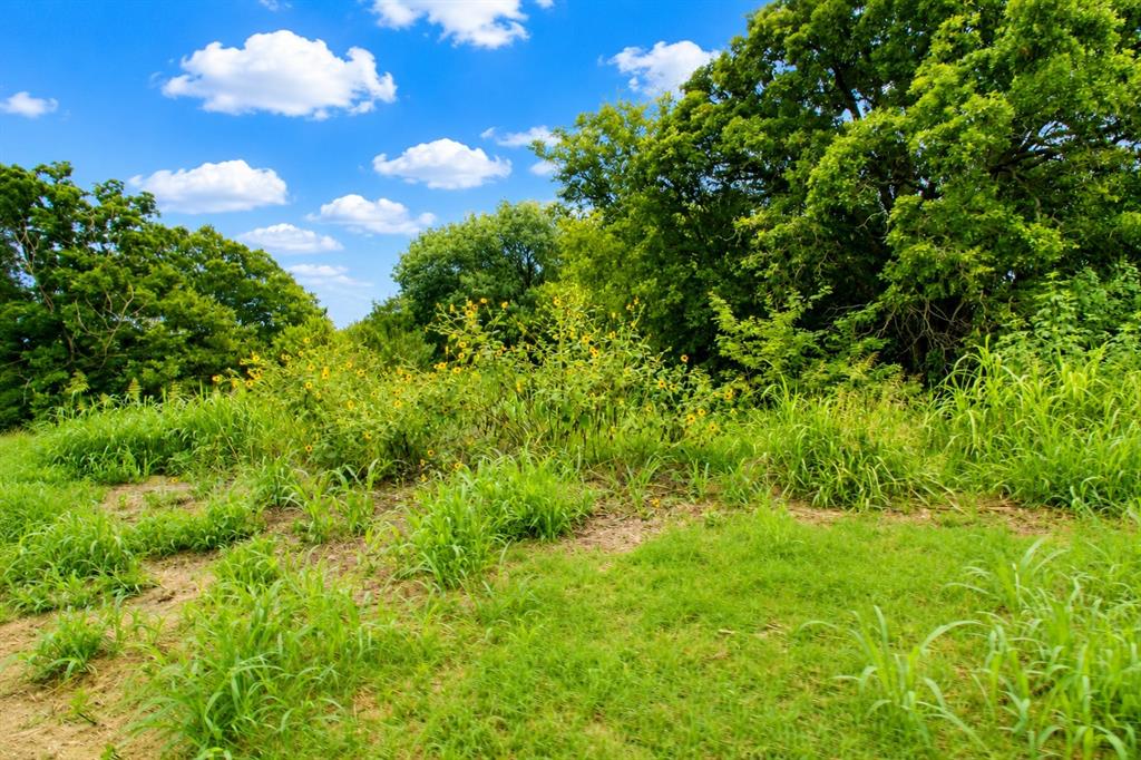 8401 S Fm 148 Property Photo 12