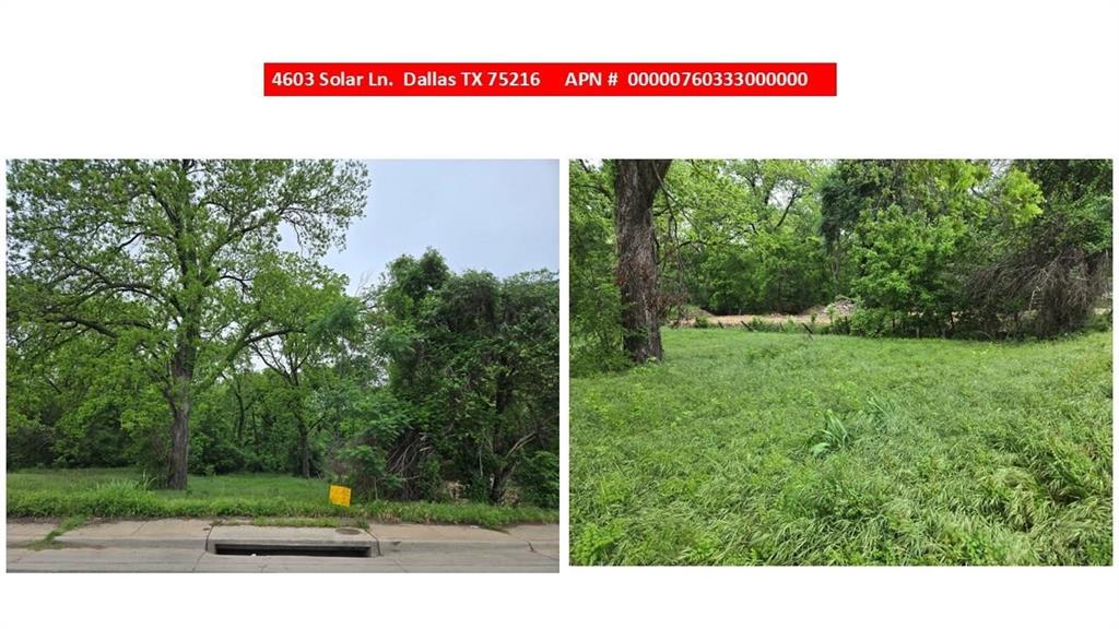 4603 Solar Lane Property Photo 1