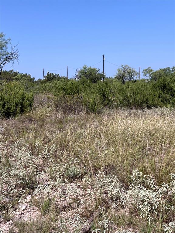 21008 Frank Road Property Photo 1