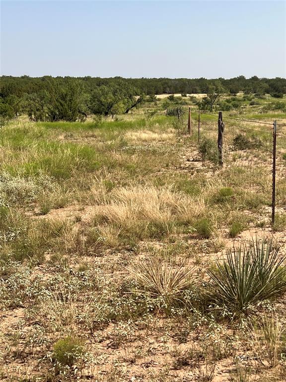 Tbd Fm 1929 Property Photo 4