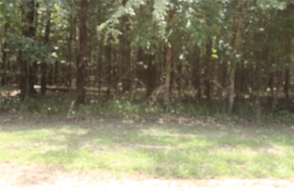 0 Eagle View Drive Property Photo 4
