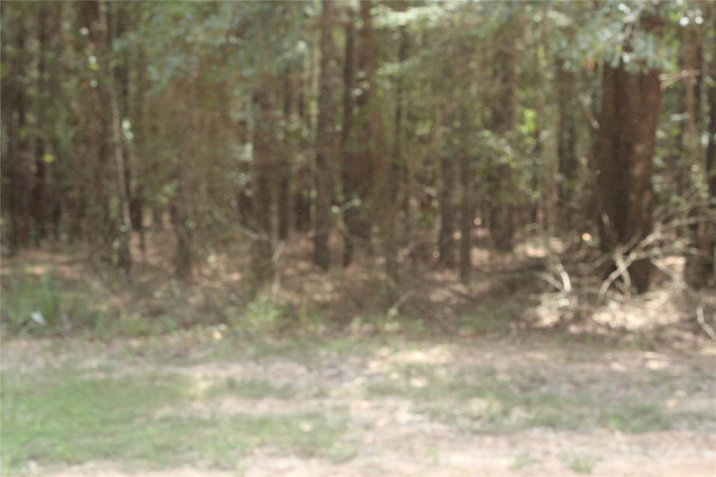 0 Eagle View Drive Property Photo 5