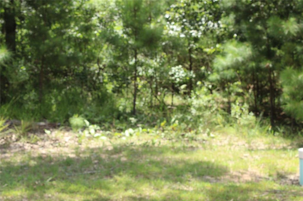 0 Eagle View Drive Property Photo 6