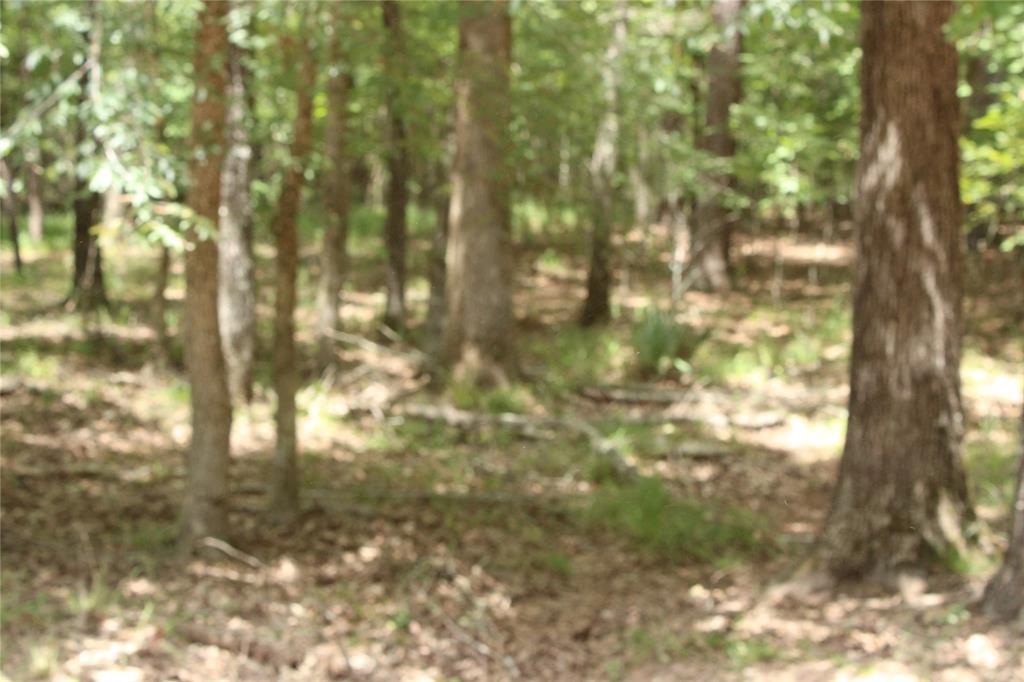 0 Eagle View Drive Property Photo 7