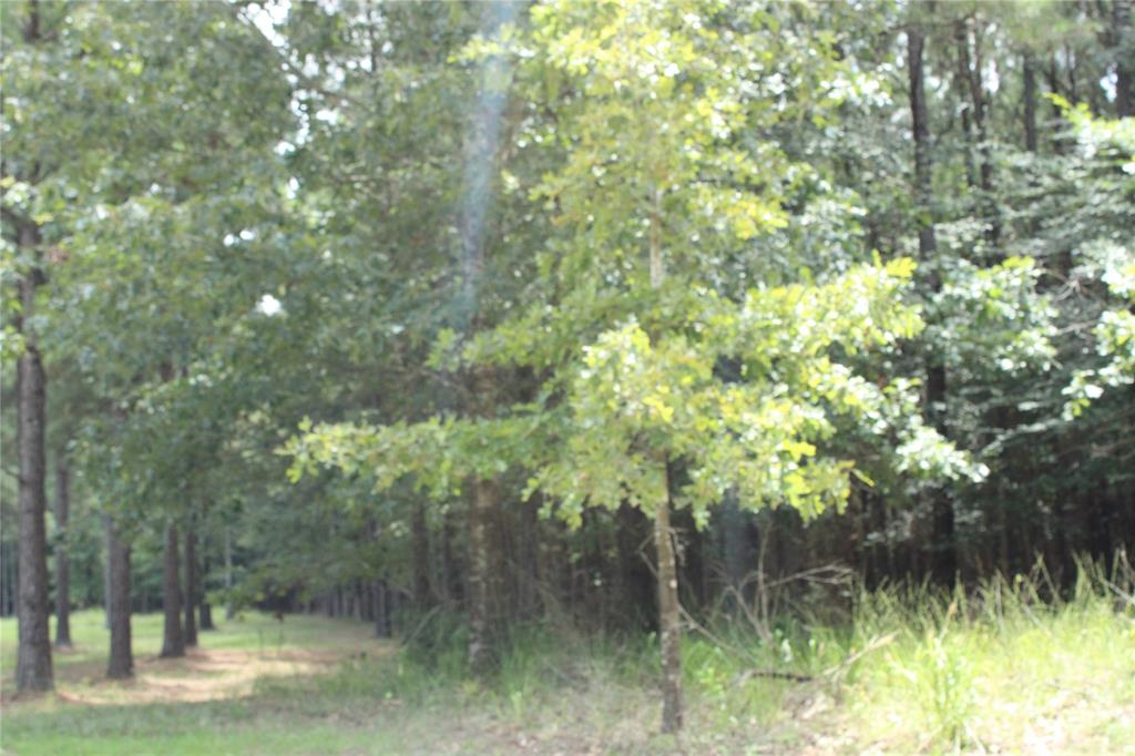 0 Eagle View Drive Property Photo 8