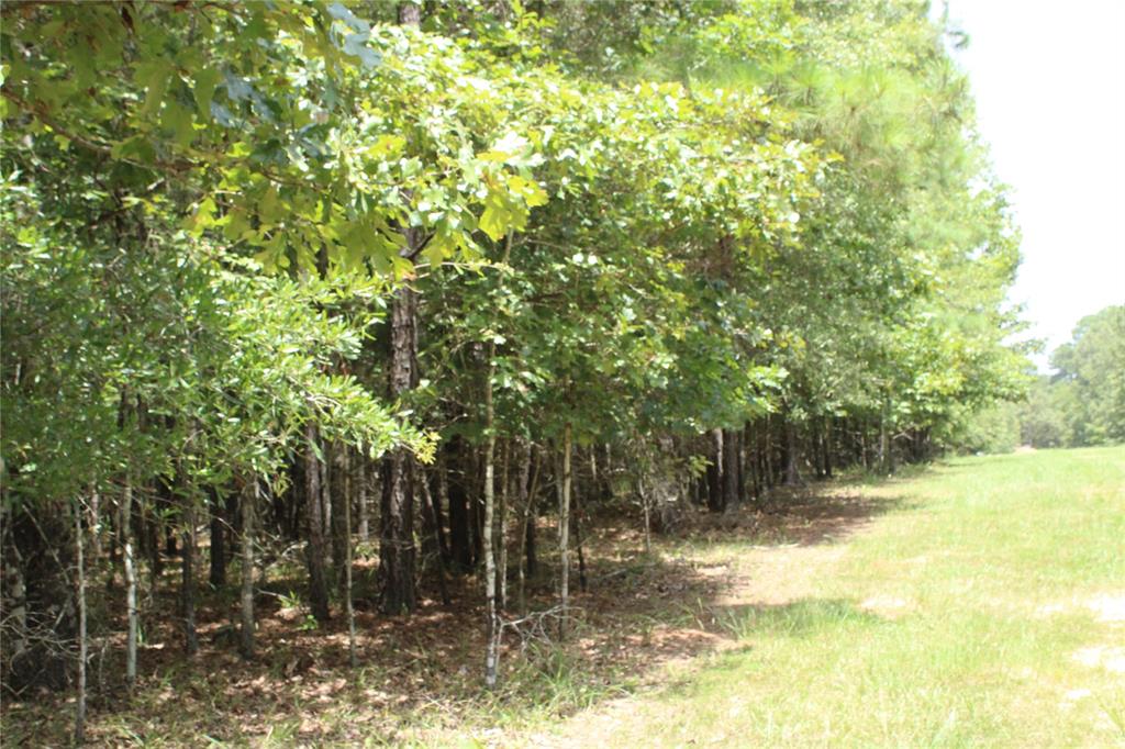 0 Eagle View Drive Property Photo 11
