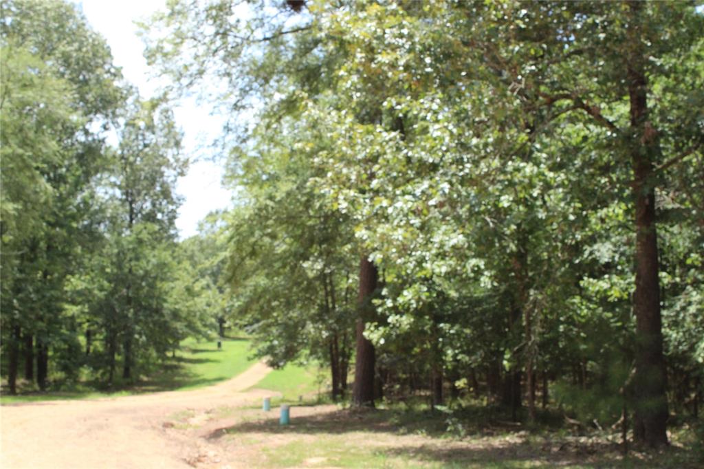 0 Eagle View Drive Property Photo 13