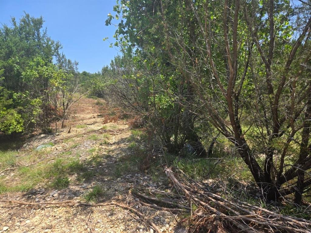 Tbd Lighthouse Drive Property Photo 3