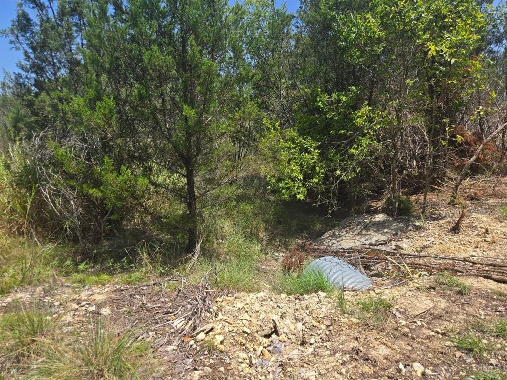 Tbd Lighthouse Drive Property Photo 4