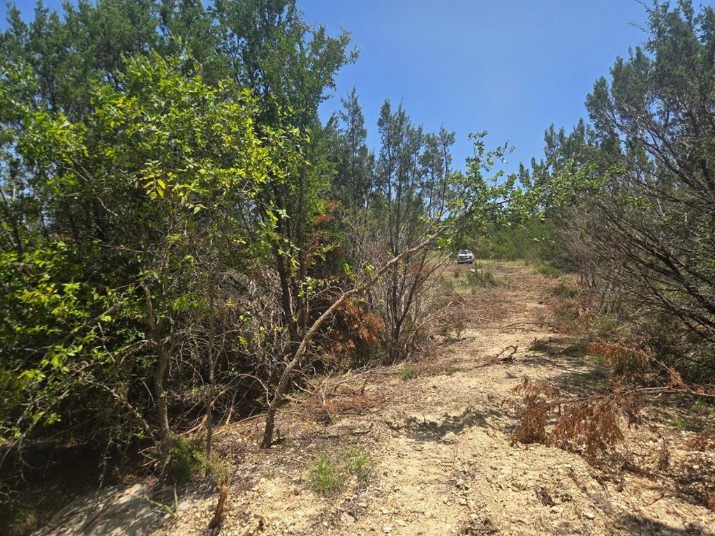 Tbd Lighthouse Drive Property Photo 8