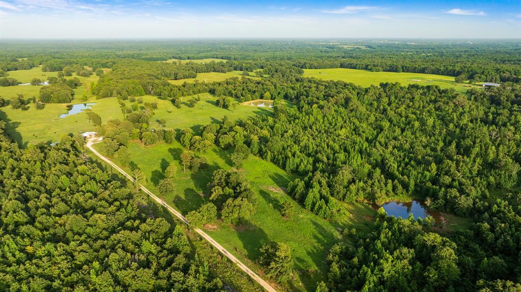 Tract A County Road 43200 Property Photo 6