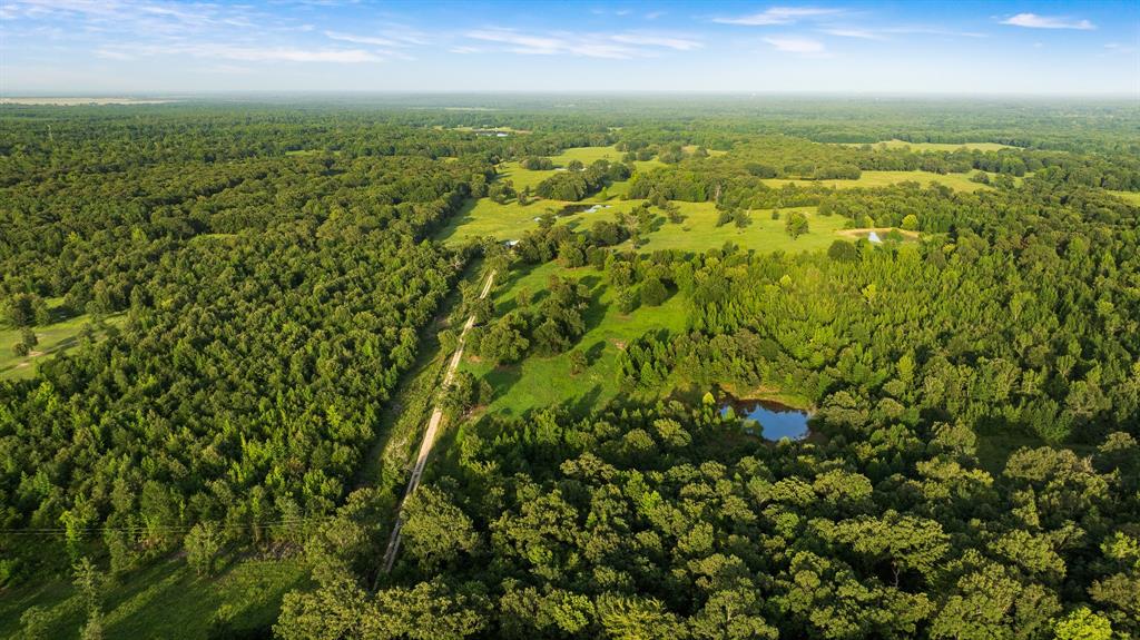 Tract A County Road 43200 Property Photo 8