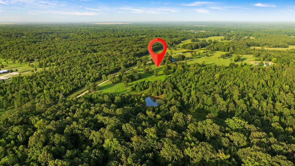 Tract A County Road 43200 Property Photo 10