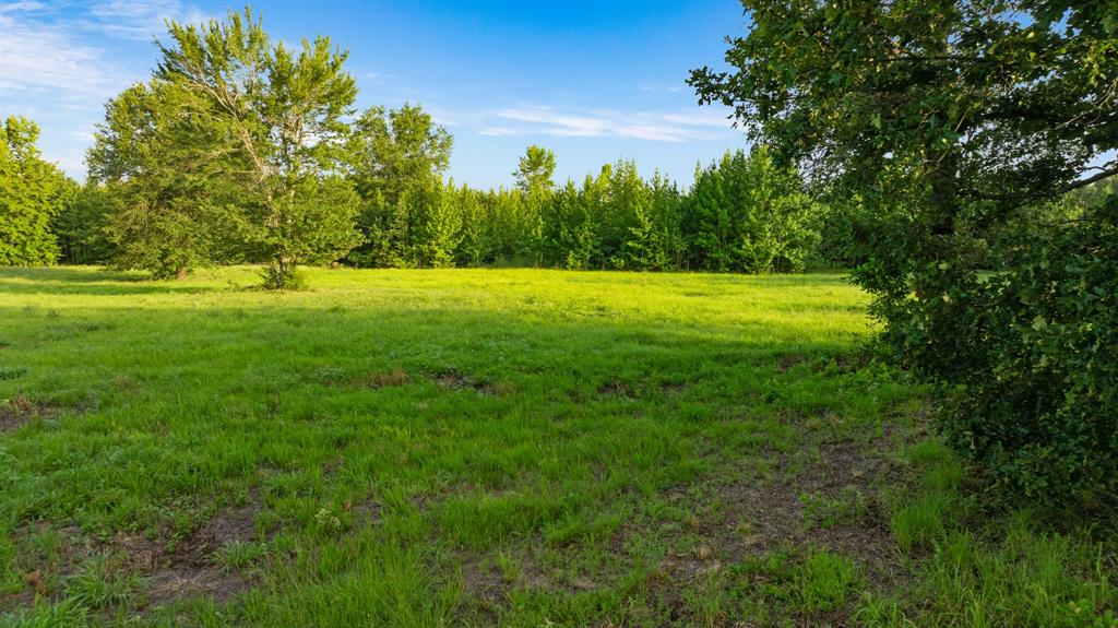 Tract A County Road 43200 Property Photo 12