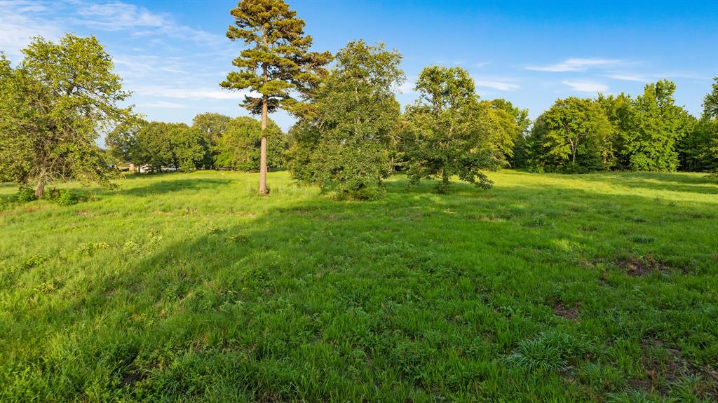 Tract A County Road 43200 Property Photo 13