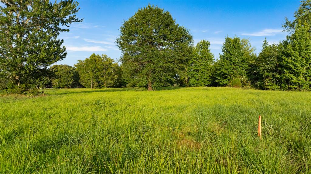 Tract A County Road 43200 Property Photo 14