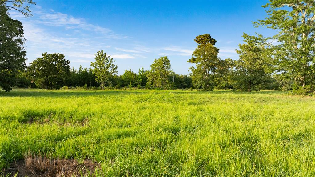 Tract A County Road 43200 Property Photo 15