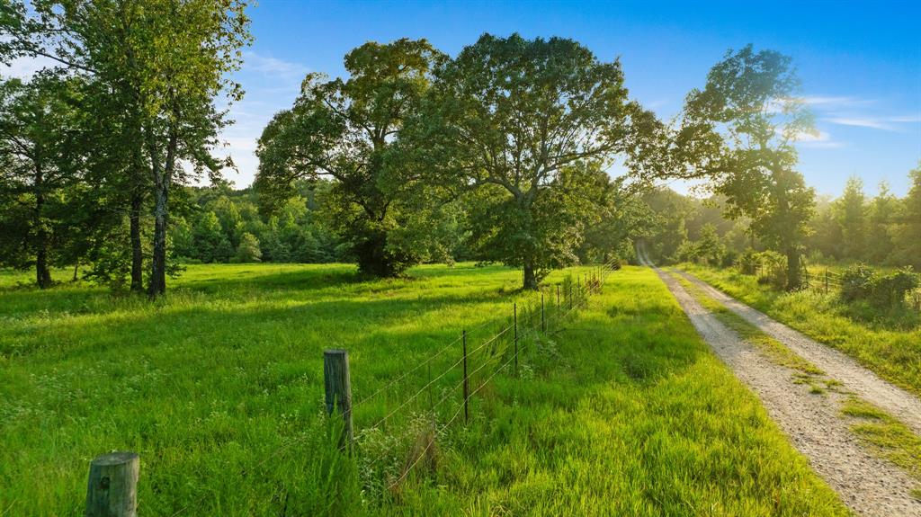 Tract A County Road 43200 Property Photo 19